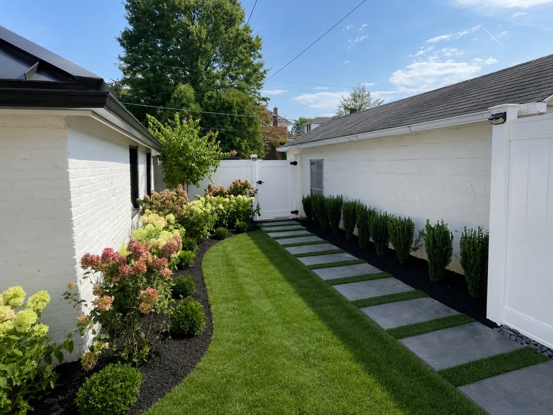 Residential side yard with a bluestone walk set in turf, a boxwood row and layered plantings